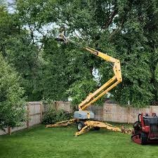 Best Tree Mulching Services  in Fox Crossing, WI