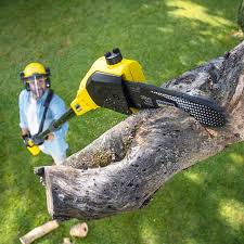  Fox Crossing, WI Tree Services Pros