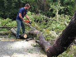 Best Tree Preservation Services  in Fox Crossing, WI