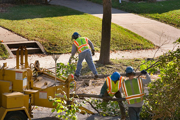 Lawn Pest Prevention in Fox Crossing, WI