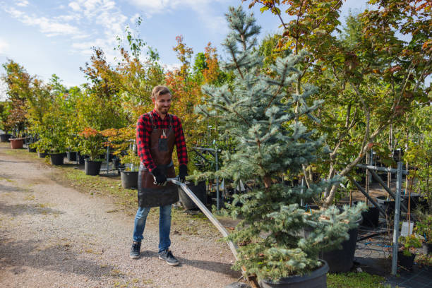 Best Storm Damage Tree Cleanup  in Fox Crossing, WI